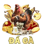 Chọn phiên bản ứng dụng
